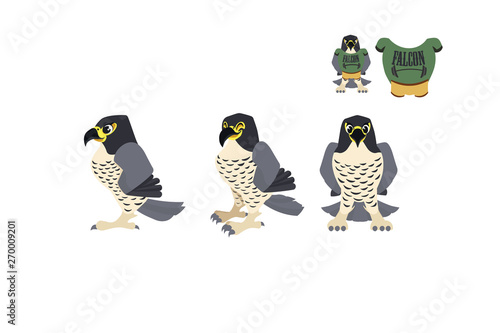 falcon from different viewing angles. athlete with clothes, - vector