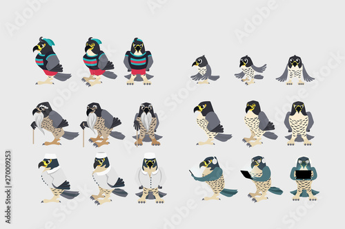 Birds collection Vector illustration of a peregrine falcon Isolated object set. a large set of falcons in different outfits. 