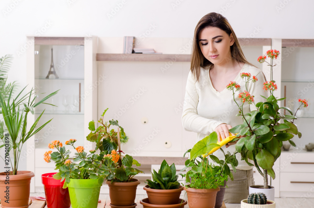 Young female gardener with plants indoors Young female gardener with plants indoors