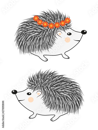 Cool little hedgehog in cartoon style wearing blue t-shirt with red spot on gray background