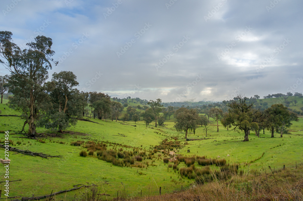 Countryside landscape with green grass and farm animals