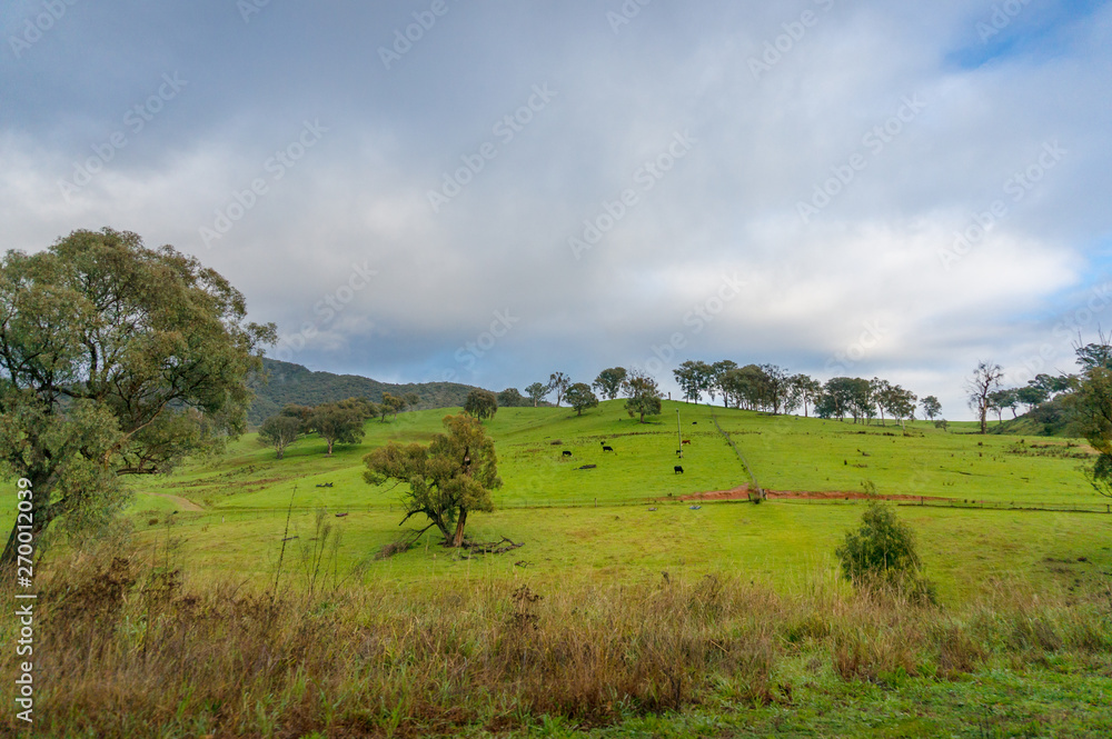 Countryside landscape with green grass and farm animals Countryside landscape with green grass and farm animals