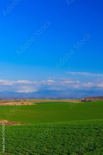 北海道 大地と丘と青空イメージ