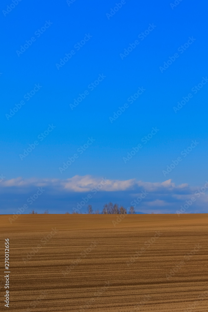 Fototapeta premium 北海道 広大な大地と青空