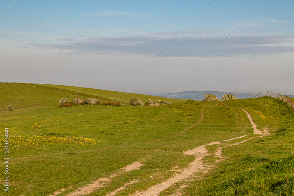 A pathway on Ditchling Beacon along the South Downs Way in Sussex, on a sunny evening A pathway on Ditchling Beacon along the South Downs Way in Sussex, on a sunny evening