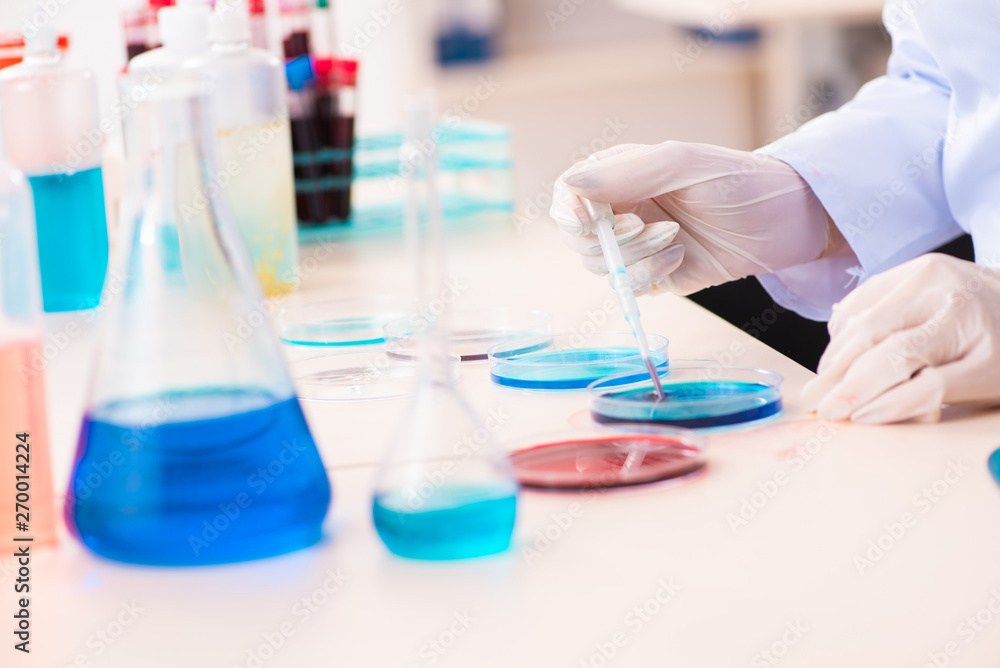 Young female chemist working in the lab Young female chemist working in the lab