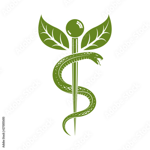 Aesculapius vector abstract illustration created using snakes and green leaves, Caduceus symbol. Healthy lifestyle is strong heart.