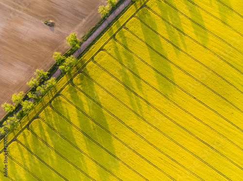Canvas Print Aerial top down view of country road between yellow canola field and ploughed fi