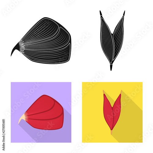 Isolated object of fiber and muscular logo. Set of fiber and body  stock symbol for web.