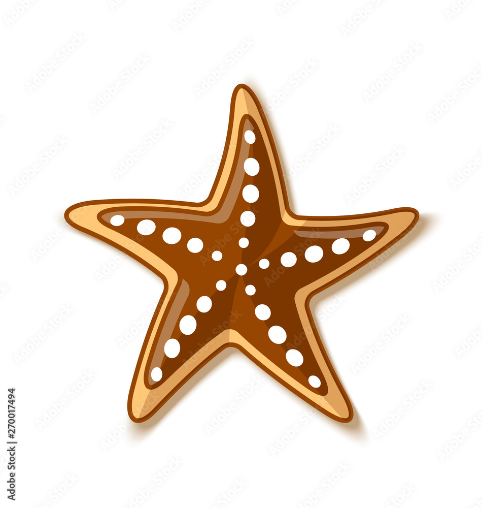 Starfish icon in flat style placed on white background Starfish icon in flat style placed on white background