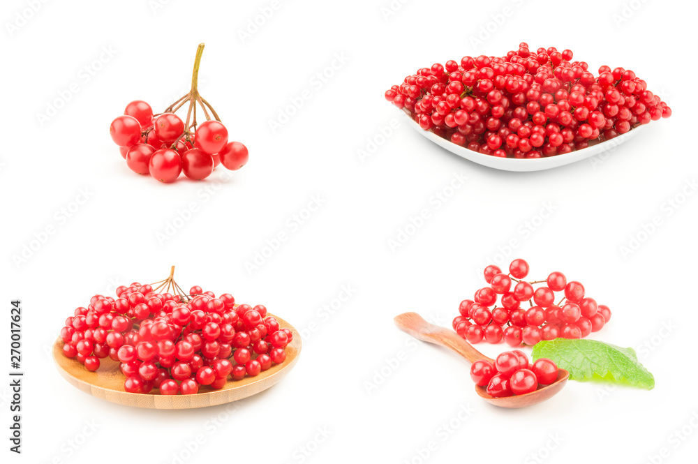 Set of ripe red viburnum over a white background Set of ripe red viburnum over a white background