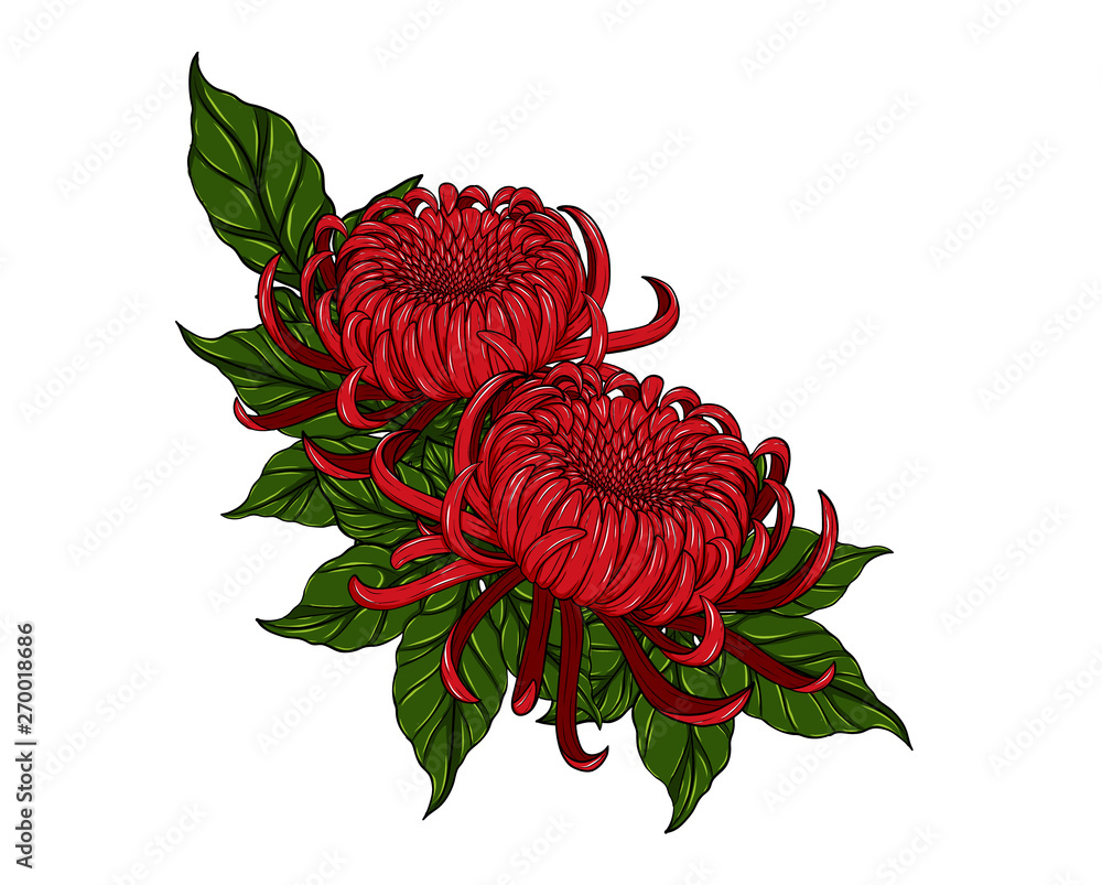 Red rose flowers draw and painting icon Royalty Free Vector