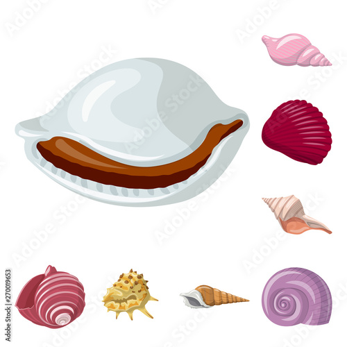 Vector design of seashell and mollusk logo. Collection of seashell and seafood  stock vector illustration.