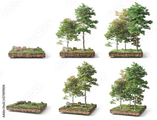 Stump with leaves isolated on a white. 3d illustration