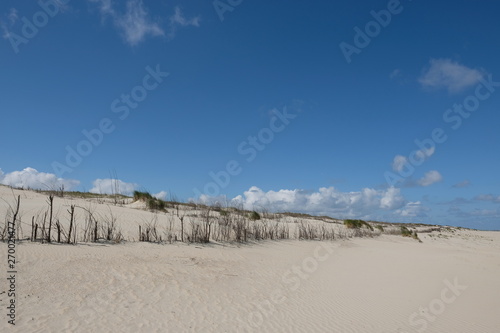 Weiße Sanddünen auf der norddeutschen Insel Norderney