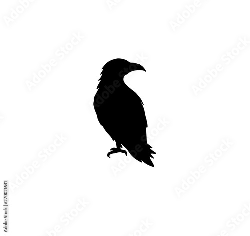 Raven silhouette isolated vector