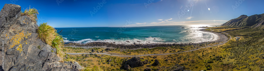 panorama landscape of the beach and ocean near cape palliser new zealand