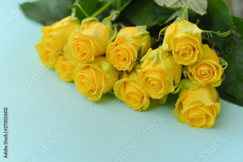 A bouquet of fresh yellow roses flowers with leaves on an isolated blue background. Flat lay  top view. corner composition. postcard birthday floral arrangement