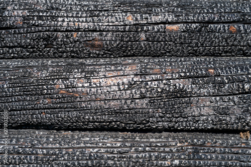 Burned wooden logs wall tex...