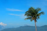 Tall palm tree over beautiful blue sky and mountains background