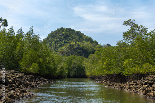 Kilim Geoforest Park  Langkawi  Malaysia