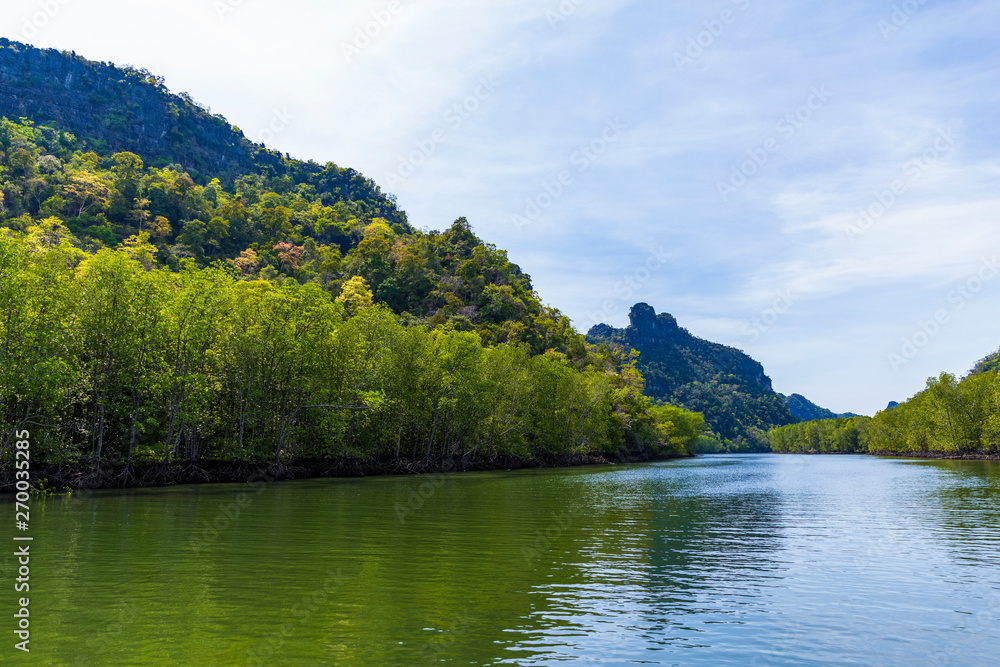 Kilim Geoforest Park, Langkawi, Malaysia Kilim Geoforest Park, Langkawi, Malaysia