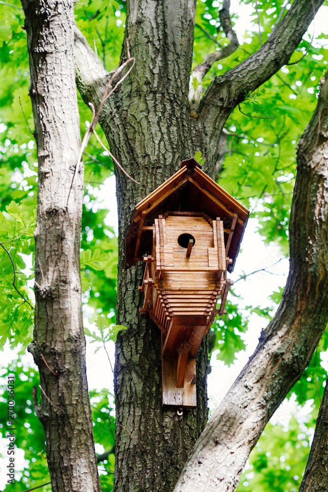 tree house for birds on the tree, birdhouse from the tree for wintering birds