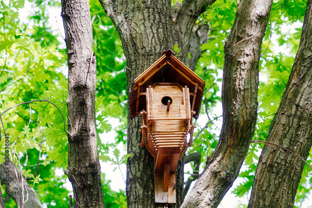 house for the birds on the tree. birdhouse wooden. house for wintering birds