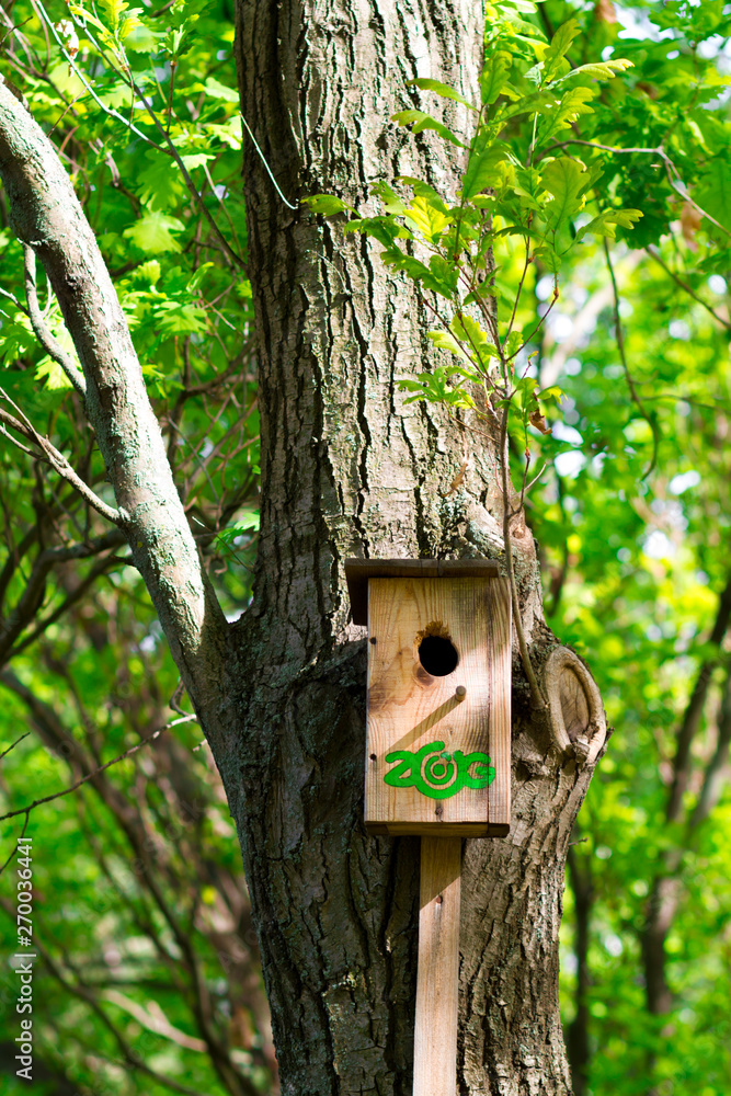 tree house for birds on the tree, birdhouse from the tree for wintering birds