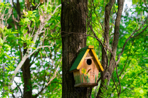 tree house for birds on the tree, birdhouse from the tree for wintering birds