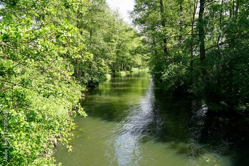 Sonnige Flusslandschaft im Spreewald 