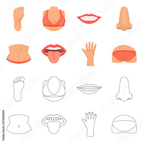 Vector illustration of body and part icon. Collection of body and anatomy stock vector illustration.