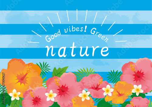 ハイビスカスのポスター