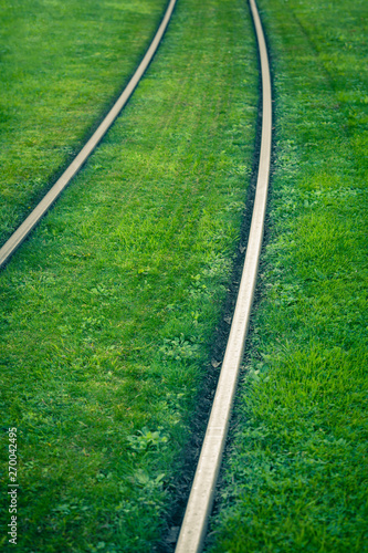 Tram rails covered with green grass