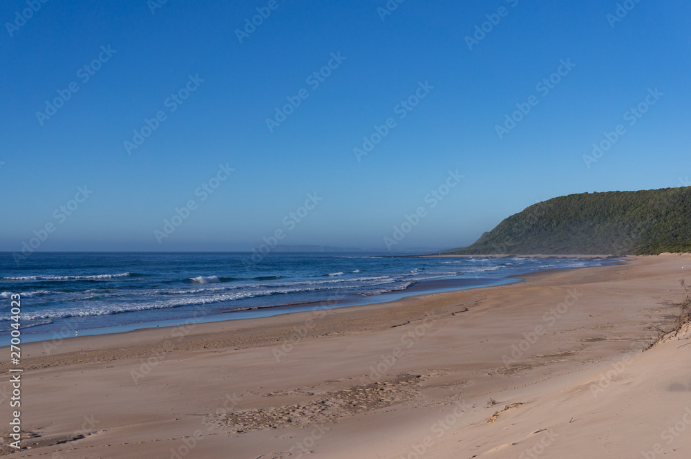 Beautiful summer beach landscape with forest hill
