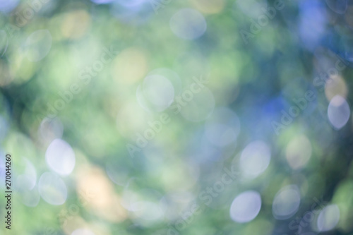 Abstract blurred green nature background.