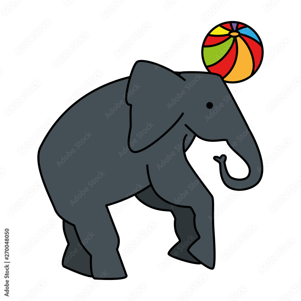Fototapeta premium circus elephant playing with balloon
