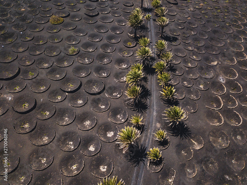 surreal aerial landscape of road in winery in black volcanic ash field in Lanzarote, Canary islands, Spain photo