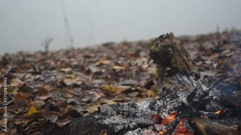 Fire in foggy autumn morning by the river Fire in foggy autumn morning by the river