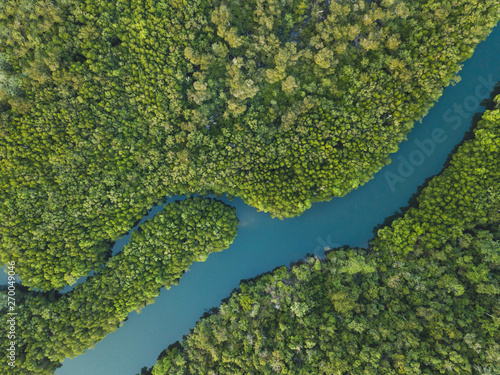 aerial landscape of winding river in forest by drone, beautiful wilderness nature