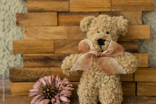 teddy bear with a book