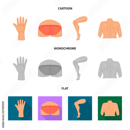 Isolated object of body and part symbol. Collection of body and anatomy vector icon for stock.