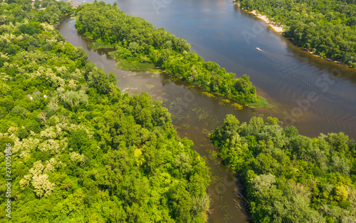 Aerial top view from drone on forest on river coastline. Natural green foliage background.