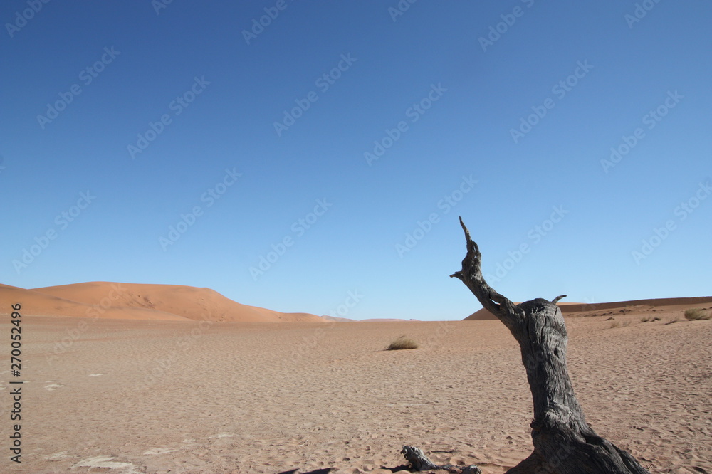 Naklejka premium Dead tree in desert landscape