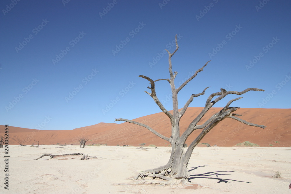 Dead Vlei in Sossusvlei, Namibia Dead Vlei in Sossusvlei, Namibia