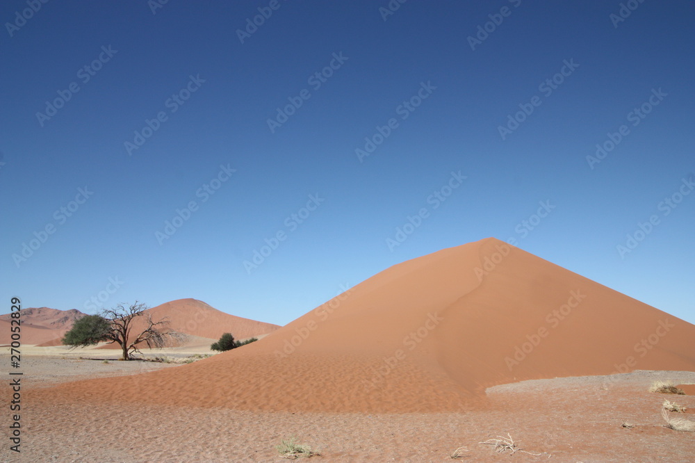 Dune landscape with dead tree