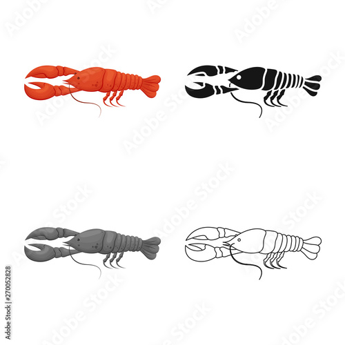 Vector design of crayfish  and lobster icon. Set of crayfish  and boiled vector icon for stock.