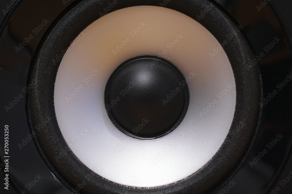 Studio speaker detail, black and silver driver Studio speaker detail, black and silver driver