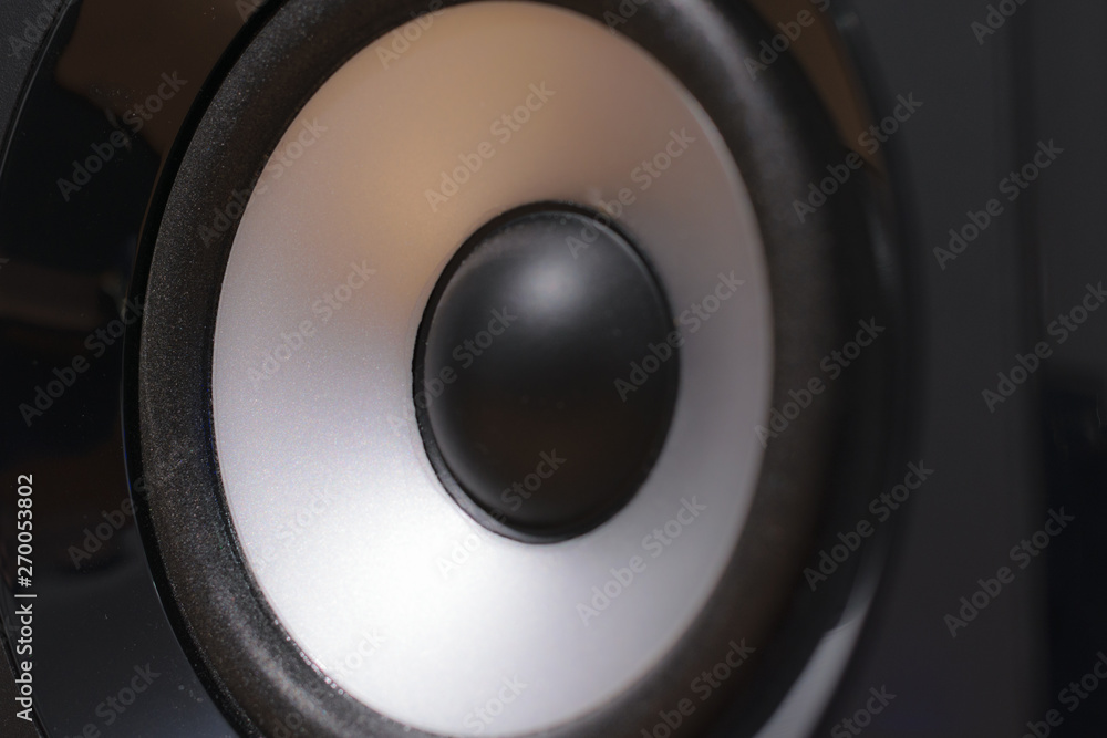 Studio speaker detail, black and silver driver Studio speaker detail, black and silver driver