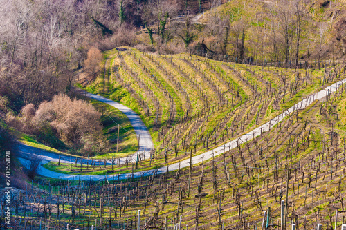 Prealpi Trevigiane in Italy photo